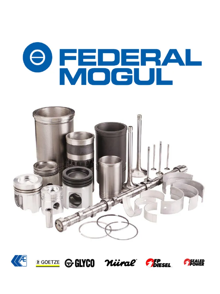 Federal Mogul